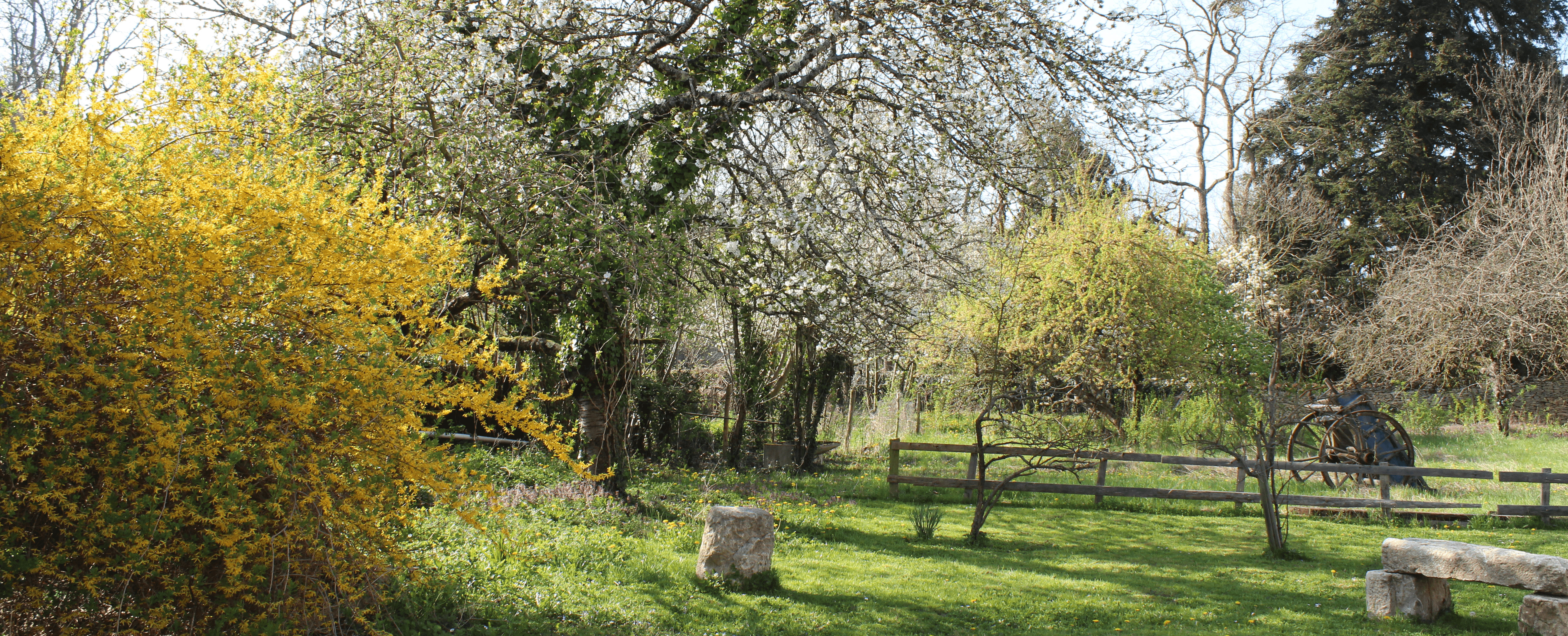 Le jardin fleuri au printemps